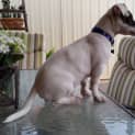 Photo of Floyd *On Trial In His New Home*