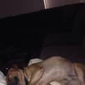 Photo of Yogi