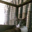 Photo of Little Miss Truffle