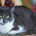 Photo of Little Miss Truffle