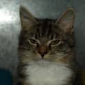 Photo of Tuppence