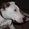 Photo of Charlotte
