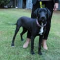 Photo of Be Be *On Trial In Her New Home*