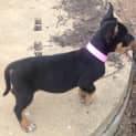 Photo of Elsa
