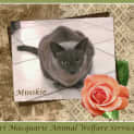 Photo of Minskie