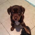 Photo of Ruby