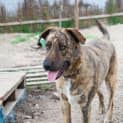 Photo of Kyros