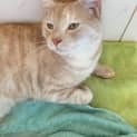 Photo of Floyd