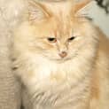 Photo of Haddy