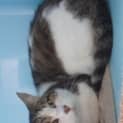 Photo of Tom