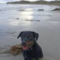 Photo of Daisy