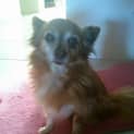 Photo of Waffles