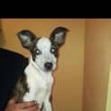 Photo of Dorothy