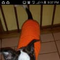 Photo of Dorothy