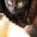 Photo of Freda