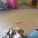 Photo of Miss Betty Boo