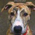 Photo of Miss Betty Boo