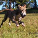 Photo of Miss Betty Boo