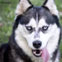 Photo of Alaska