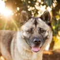 Photo of Bella