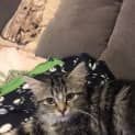 Photo of Miss Prissy