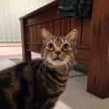 Photo of Bobbi