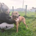 Photo of 🌸 Ruby 🌸 C04479