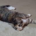 Photo of Miss Cooper