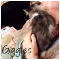 Photo of Giggles (Bn C292)