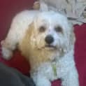 Photo of Hunter