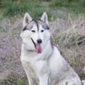 Photo of Sasha
