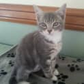 Photo of Olivia