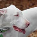 Photo of Leila   Special Needs