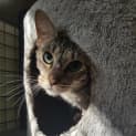 Photo of Missy