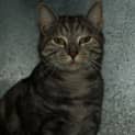 Photo of Ivy