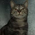 Photo of Ivy