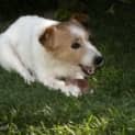 Photo of Miss Bella