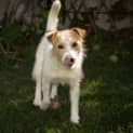 Photo of Miss Bella