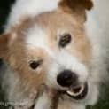 Photo of Miss Bella