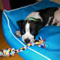 Photo of Freddy