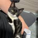 Photo of Fiona