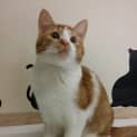 Photo of Marvin
