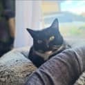 Photo of Thelma   Located In Fawkner