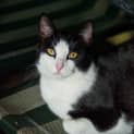 Photo of Johan