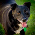 Photo of Maggie Mae Dl720