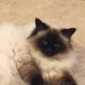 Photo of Marcia