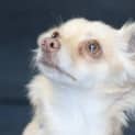 Photo of Chloe