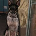 Photo of Velma