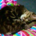 Photo of Sasha