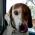 Photo of Hugo